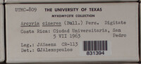 Image Associated With the Occurence